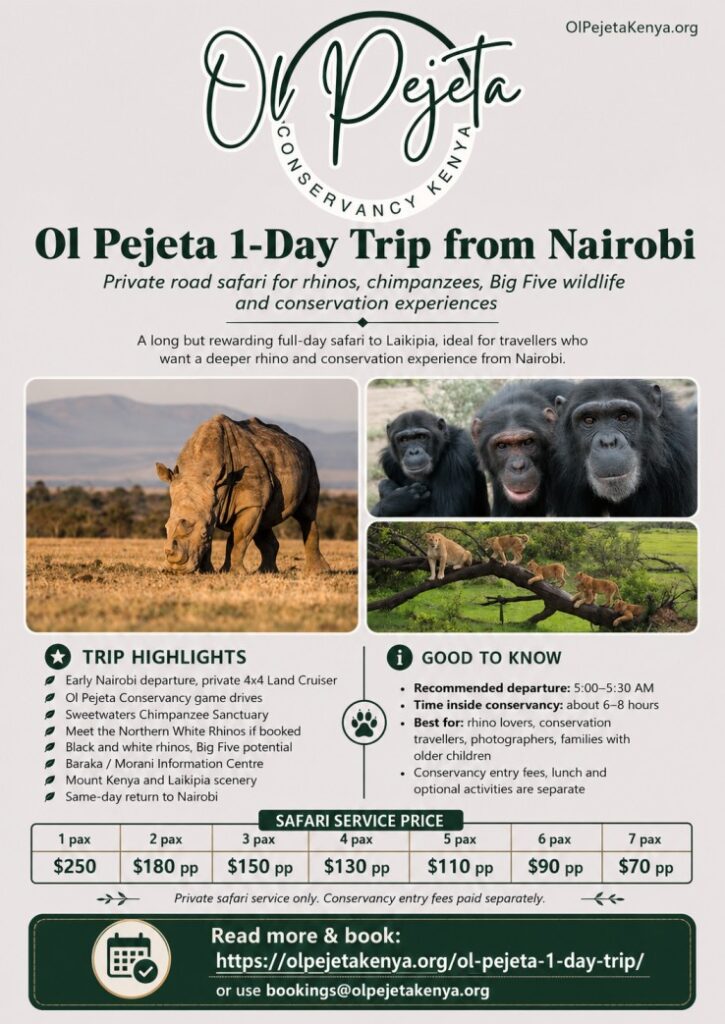 Summary flier image showing all the details necessary to decide on whether to book this 1-day safari to Ol Pejeta conservancy with trip highlights, pricing per person and booking link