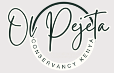 1 / 1 – Ol Pejeta Conservancy Kenya Official Logo - OlpejetaKenya.org (1).png