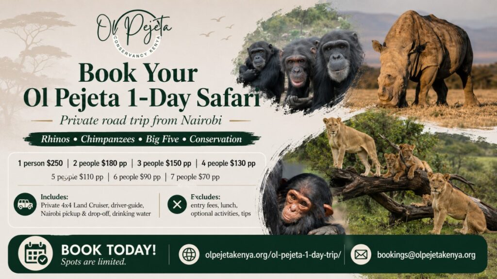Ol Pejeta day trip pricing graphic with chimpanzee image, safari service prices, inclusions, exclusions, tour operator logo, booking link, and email